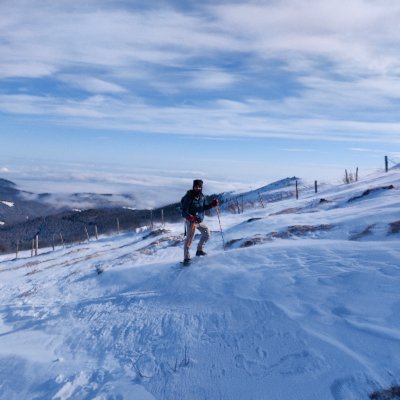 _flowmingo's profile picture. 