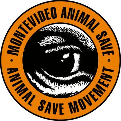 Montevideo Animal Save