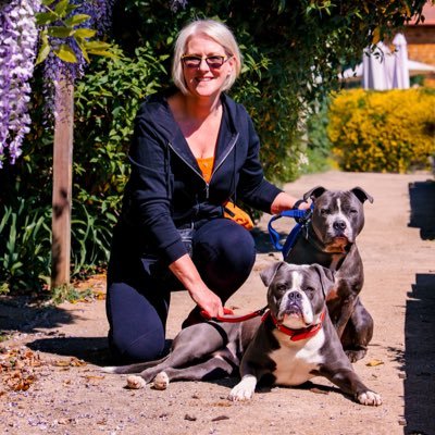 alfieandmabel's profile picture. I am passionate about the mental and physical health and well-being of dogs. I love to help owners build strong loving bonds with their dogs and have fun