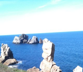 poyochico's profile picture. 