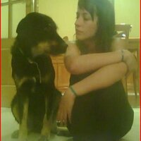 laura velasco (@lau_luc) 's Twitter Profile