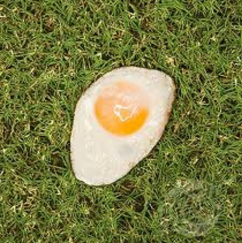 fraser_doc's profile picture. 