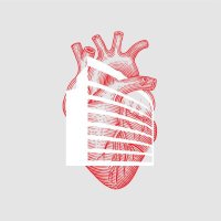 MUSC-CardiologyFellowshipPrograms(@MUSCCardFellows) 's Twitter Profile Photo