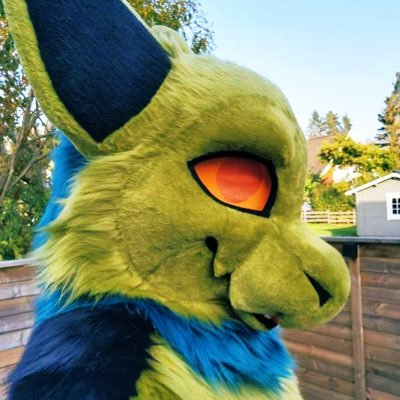 Neo_Shadowpaw's profile picture. Transmasc He/She/They
I make shitty fursuits, keep reptiles and say dumb stuff