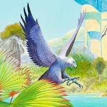 eagle973's profile picture. 97.3 % Crypto - 2.7 % ?