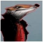 foxtricks's profile picture. I'm at 80% talking, 20% coding.