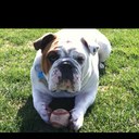 Nick duran - @Lunchbox_11 - Twitter