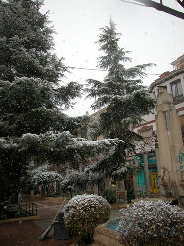 alajamat's profile picture. Universidad de Murcia, Grupo de Química Orgánica Sintética @socumu_lab https://t.co/Rxm83kfgkV