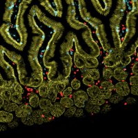WüSI - Systems Immunology Würzburg (@wue_si) 's Twitter Profile Photo WüSI - Systems Immunology Würzburg (@wue_si) 's Twitter Profile Photo