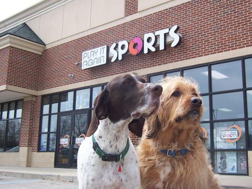 Official Twitter home for Play It Again Sports in Novi, MI - Exclusive daily specials, local news & sports info. New & Used sporting goods & fitness equipment.