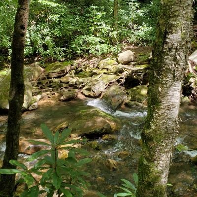 AndrewJ57008985's profile picture. welding and tech stuff