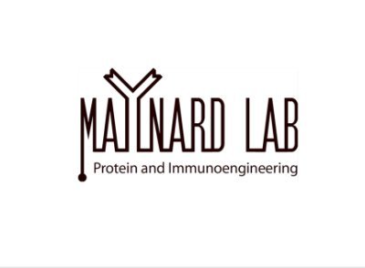 The Maynard Lab at UT Austin develops protein therapeutics and vaccines to address unmet medical needs in cancer and infectious diseases.