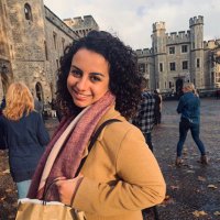 Sara Hakim (@sarainthelab) 's Twitter Profile