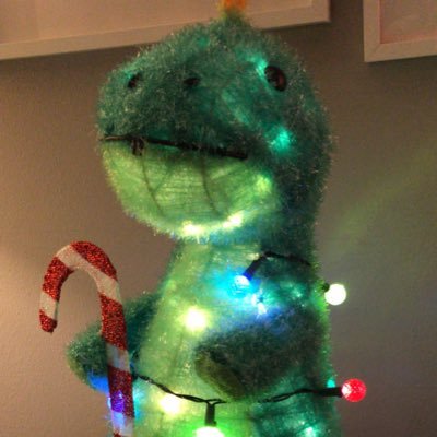 Dino. Love to yolo my savings on OTM options. Shit advisor at major brokerage that used to be fancy.