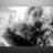 SaritaBravoo's profile image