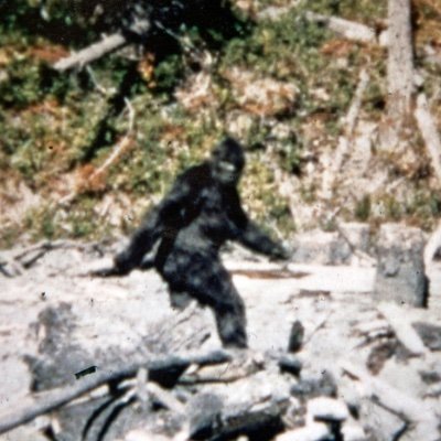 bigfootjoe777's profile picture. Bigfoot on the loose