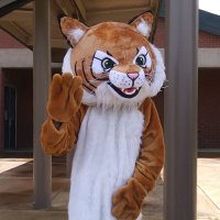 Wilderness Elementary (@weswildcats98) 's Twitter Profile