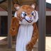 Wilderness Elementary (@weswildcats98) Twitter profile photo Wilderness Elementary (@weswildcats98) Twitter profile photo