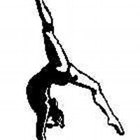 phsgymnastics (@perrygymnastics) 's Twitter Profile