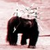 Maximus Maximalistus (@maximalistus) Twitter profile photo Maximus Maximalistus (@maximalistus) Twitter profile photo