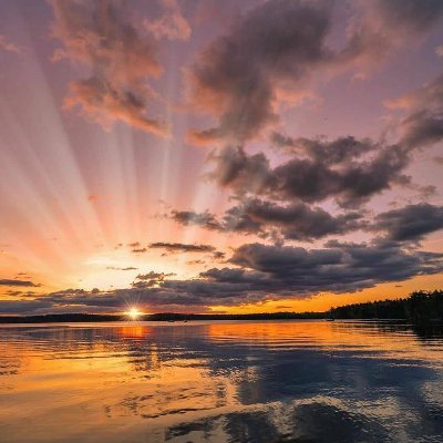 Darkone60440099's profile picture. 