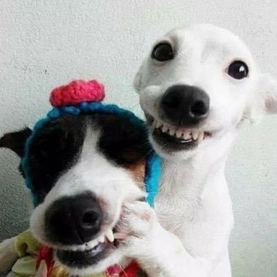 76Bernys's profile picture. 