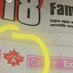 Weighting4Godot's profile picture. The Truth