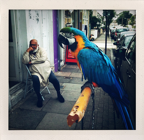 SolomonDutch's profile picture. A narrative or collection of ideas communicated through photography and the written word.