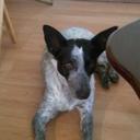 donna dodson - @Donnardodson - Twitter