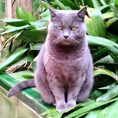 Koba8400 俺たちスーパー ポリティシャン めざせ下院議員 米選挙戦作は多数あるが ウィル フェレルなので下品さ保証付 でもなくはない昨今て痛烈な面も 対するザックは酔っ払い封印もどこかへんなお坊ちゃまで ハチャメチャ選挙もラストは意外に Koba8400 俺たちスーパー ポリティシャン めざせ下院議員 米選挙戦作は多数あるが ウィル フェレルなので下品さ保証付 でもなくはない昨今て痛烈な面も 対するザックは酔っ払い封印もどこかへんなお坊ちゃまで ハチャメチャ選挙もラストは意外に