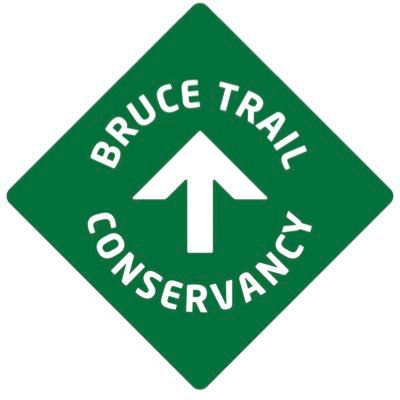 We are one of the nine clubs that form the Bruce Trail Conservancy. Our volunteers lead hikes and maintain the Bruce Trail from Lavender to Craigleith.