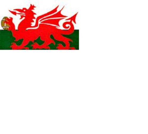TouchRugbyWales's profile picture. Wales' premier Touch Rugby competition based in Cardiff.