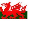 TouchRugbyWales (@touchrugbywales) 's Twitter Profile