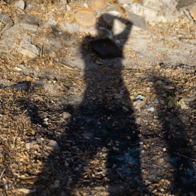 saaaara____'s profile picture. 