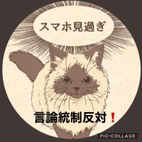 るなちゃん🇯🇵 (@chocoluna0369) 's Twitter Profile