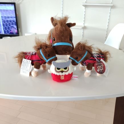 nyannole's profile picture. 🐈️と⚽と🧳と🖼️と🎶と