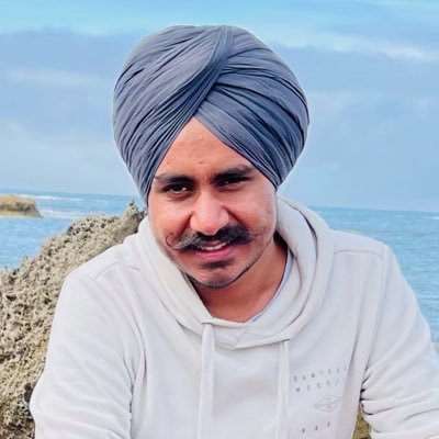 Techno craftsman Mendor of websites by profession