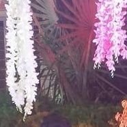 mks1808's profile picture. indian
sikh
living in dehradun