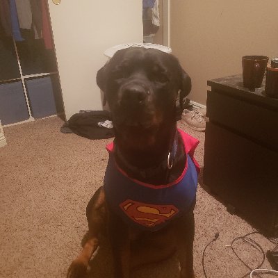 Jamma951's profile picture. 