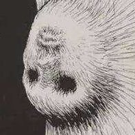 Dravitaさんのプロフィール画像