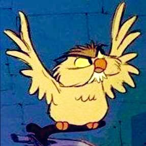 bets_owl's profile picture. Crypto master and music entrepreneur🥇$OCGN #OCGN Covaxin #covaxin ⬅️