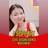 Lin Sandar Zaw (@linsandarzaw2) 's Twitter Profile
