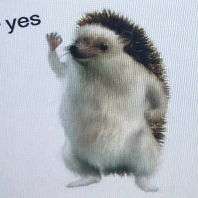 Nesborne1's profile picture. 