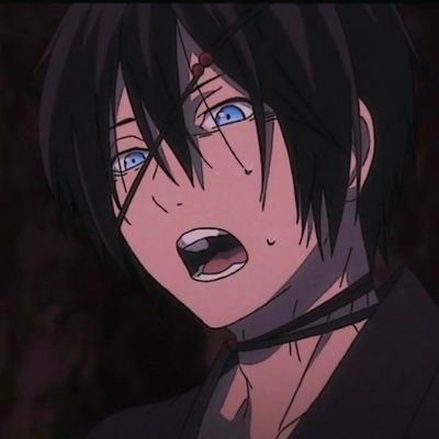 427Wyong's profile picture. 