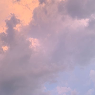 whatuevenmadfor's profile picture. ꔛ ⋆⁺ 🦒🧀 +.ﾟ