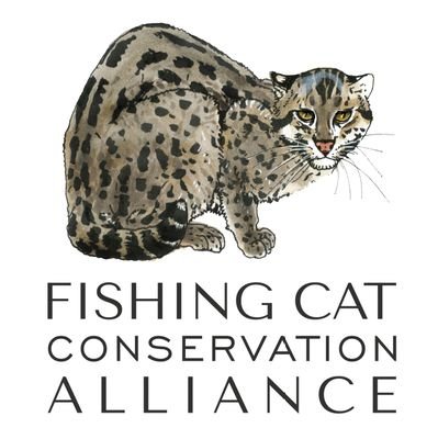 We are a team of researchers and conservationists working to protect the Fishing cat and to improve the lives of local people at conflict with the species.