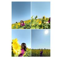Suu Naing (@suunaing4) 's Twitter Profile