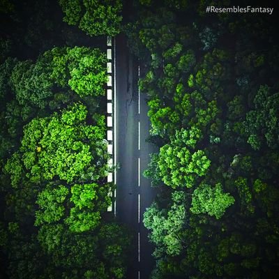 bnsganesh's profile picture. Evolver | Developer