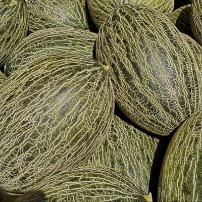 de Torre Pacheco,agricultura en el campo de Cartagena,fiel al Real Murcia,peña Furia Grana, demasiado de todo en un mundo vacío.