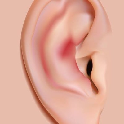 bonchinews's profile picture. @bonchinewsjp